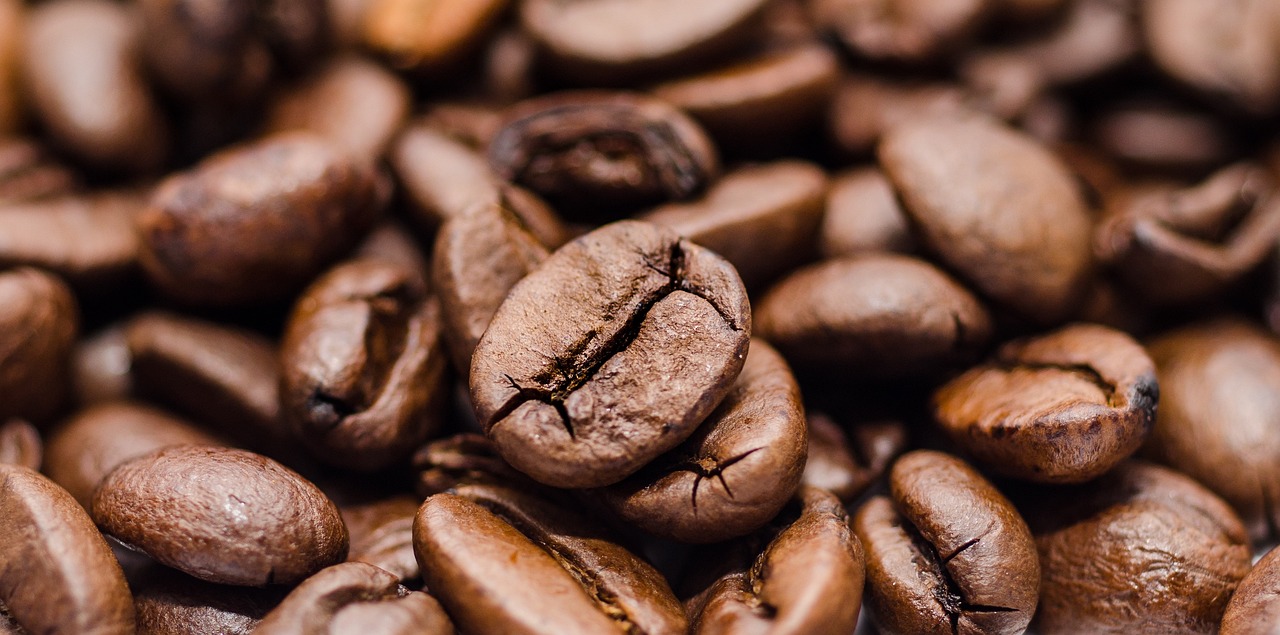 Região de Campinas é destaque na produção de café, afirmam especialistas