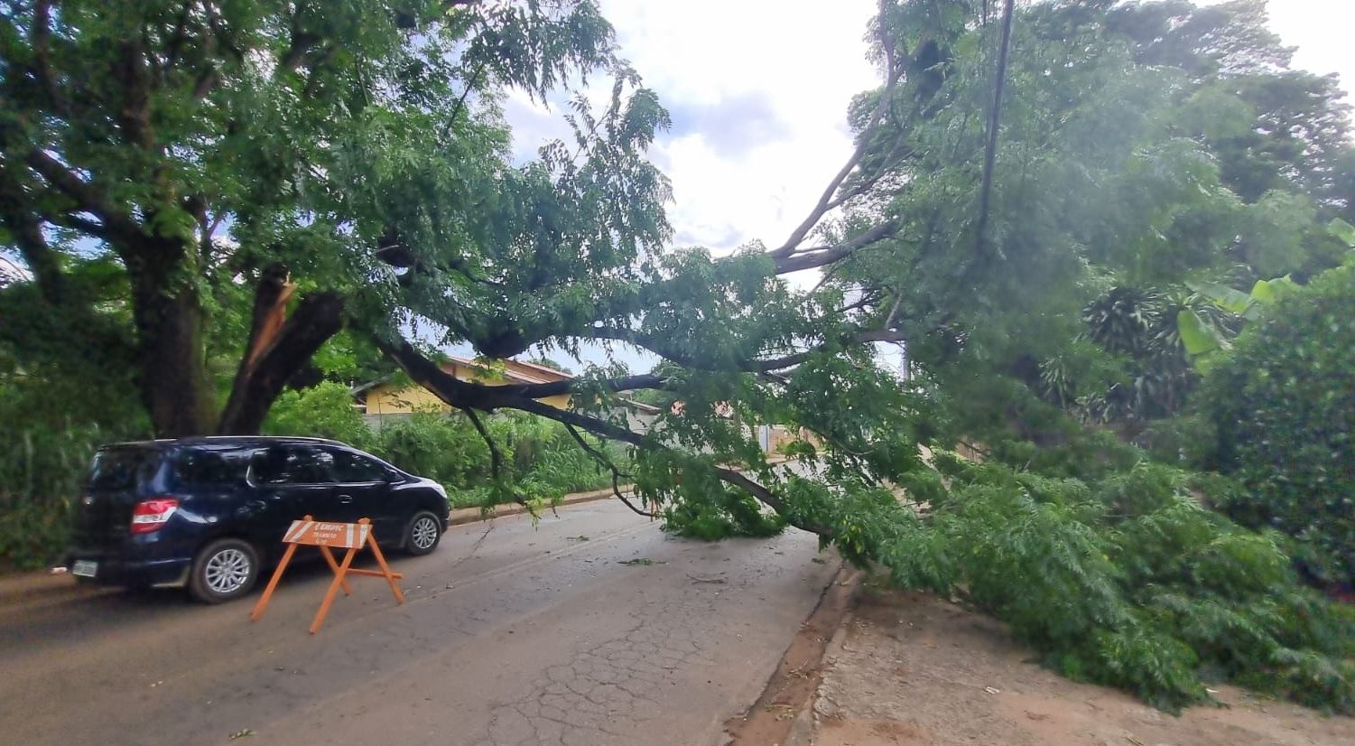 Chuva em Campinas provocou queda de 16 árvores, segundo prefeitura