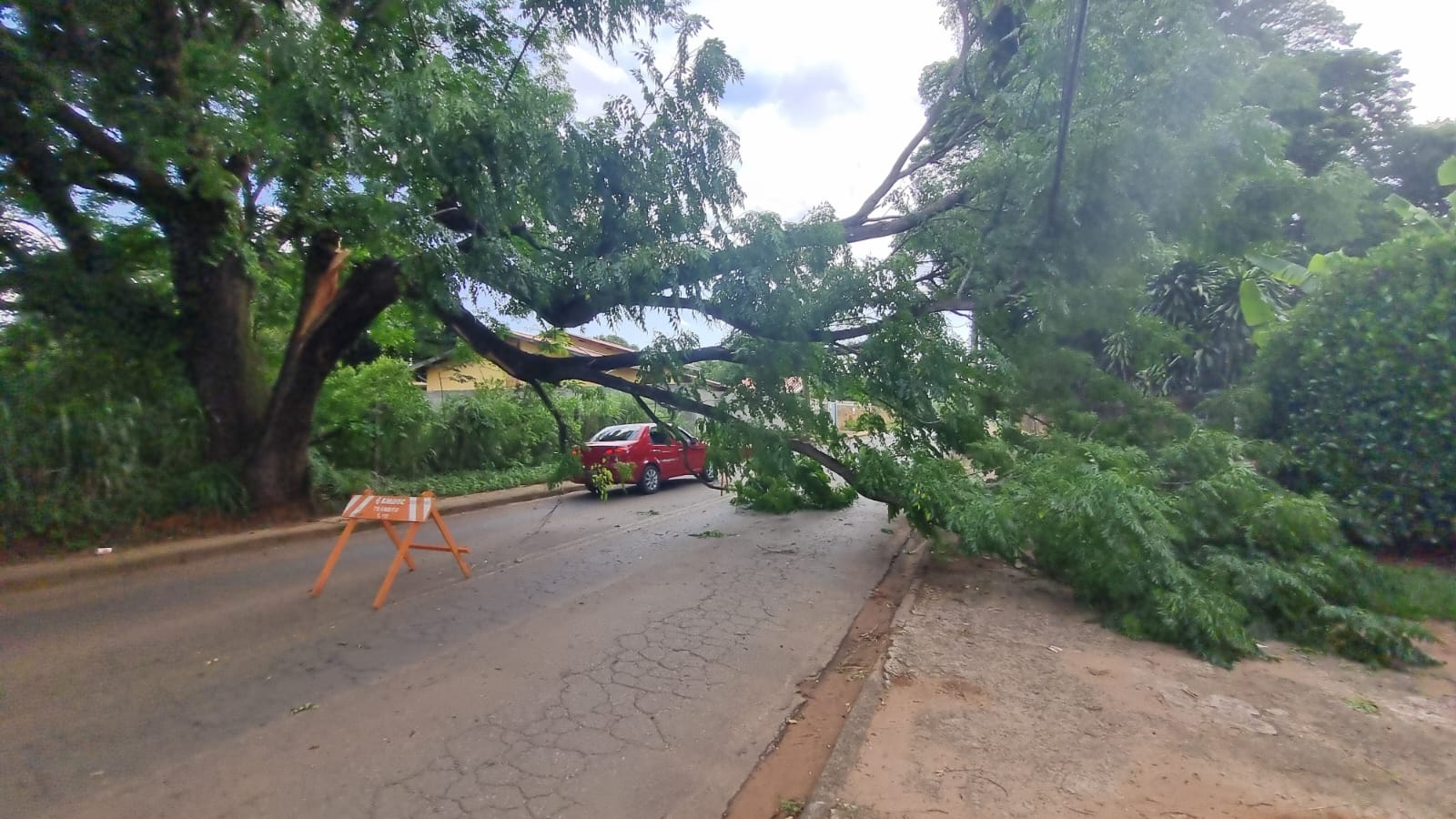 Ventania derruba galho de árvore e interdita rua em Barão Geraldo