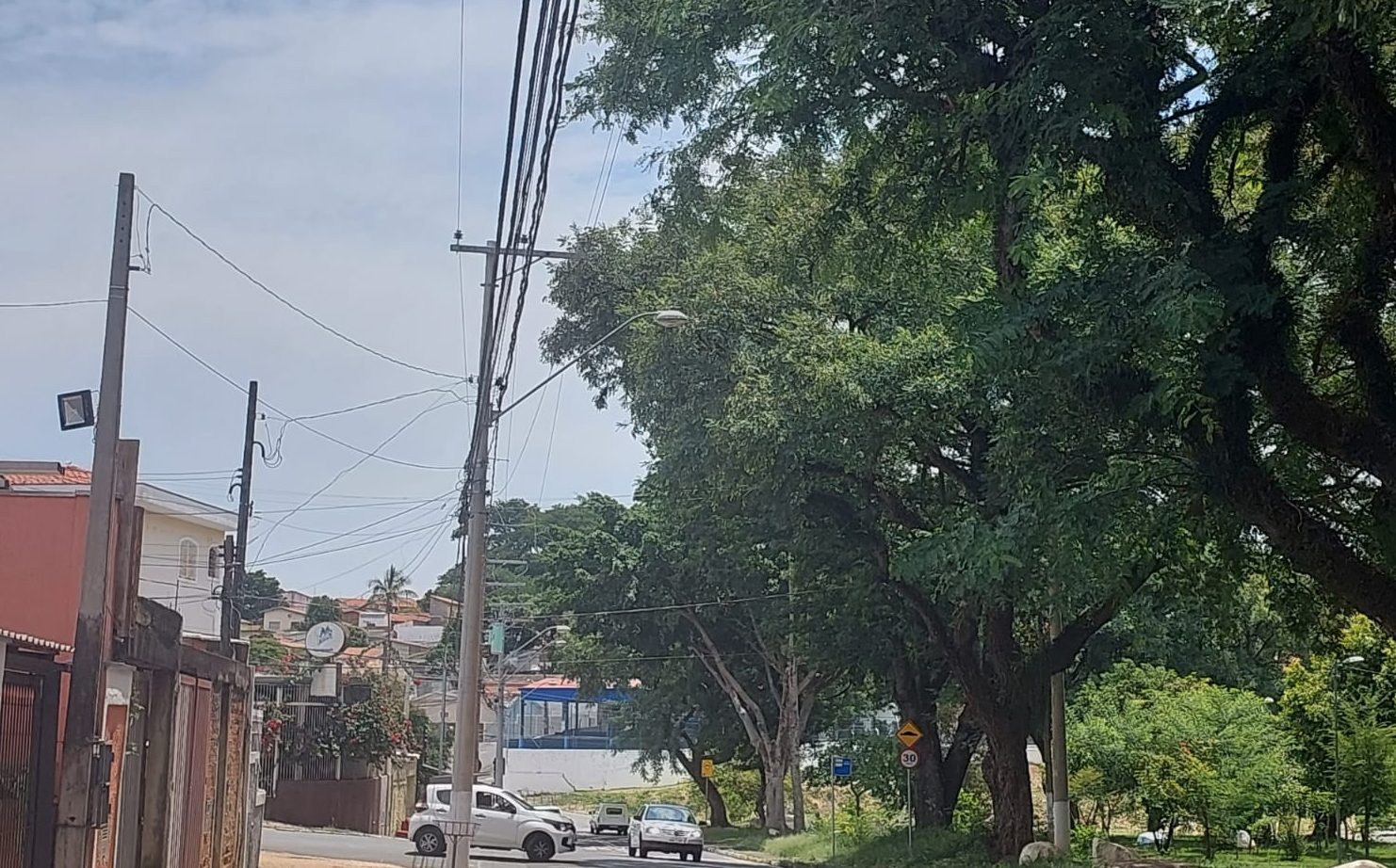 Praça com árvores inclinadas e atingindo a fiação preocupa moradores do Jd. Baroneza