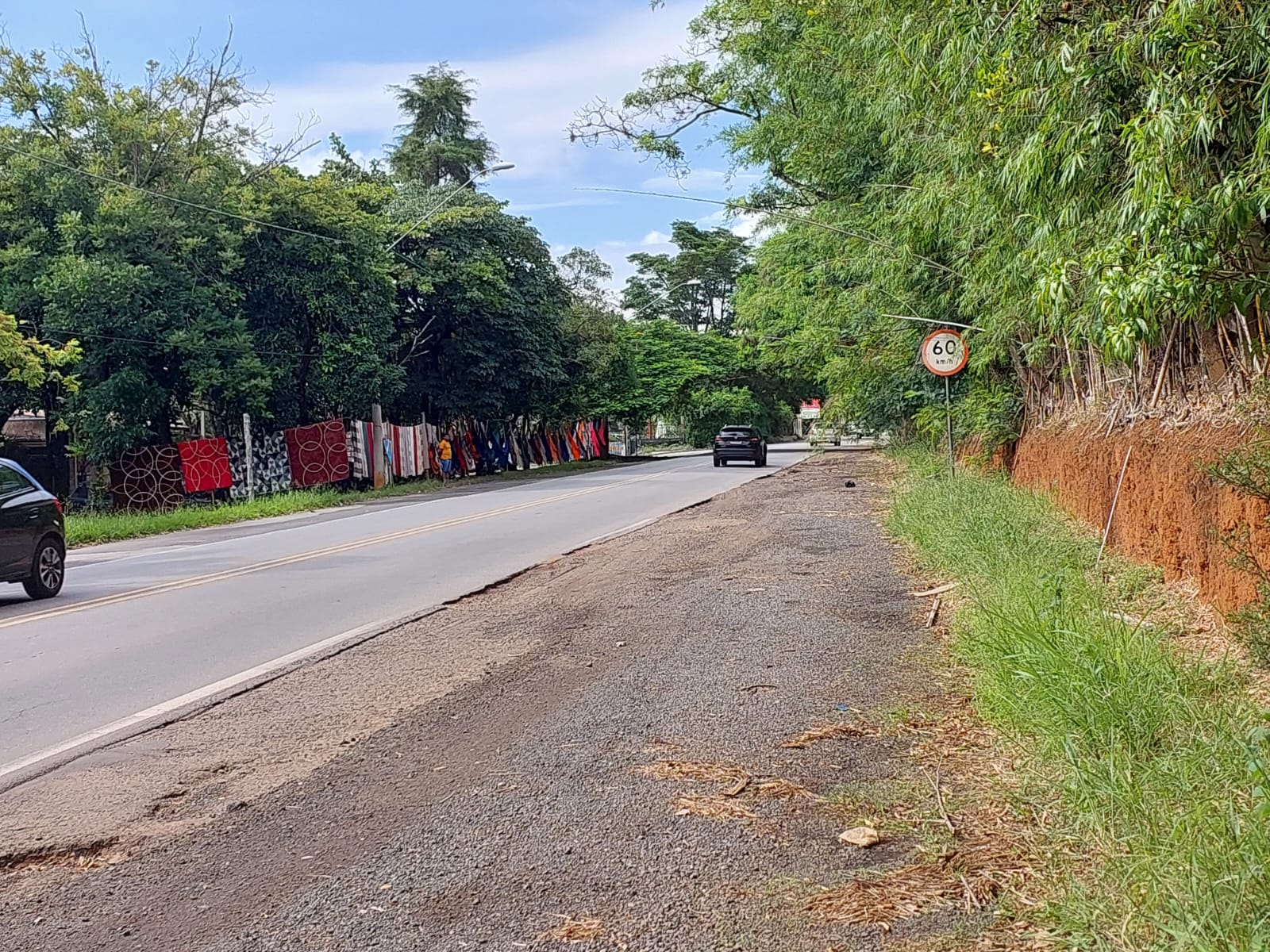 Árvores e falta de sinalização em ponto na Estrada da Rhodia geram reclamações