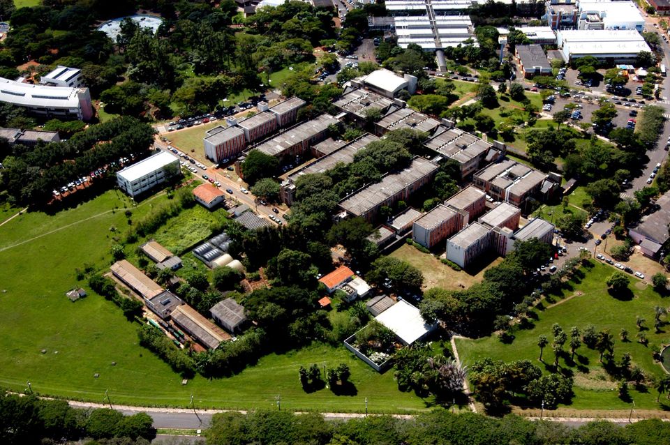 Unicamp reproduz cérebro com sintomas de depressão para buscar tratamentos eficazes