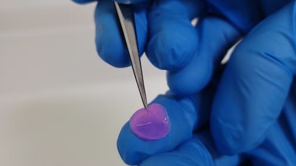Impressão de tecidos humanos em startup de Campinas pode acabar com testes em animais