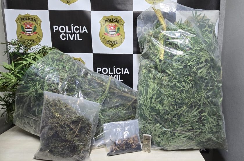 Justiça libera médico preso em flagrante por cultivar maconha em Campinas