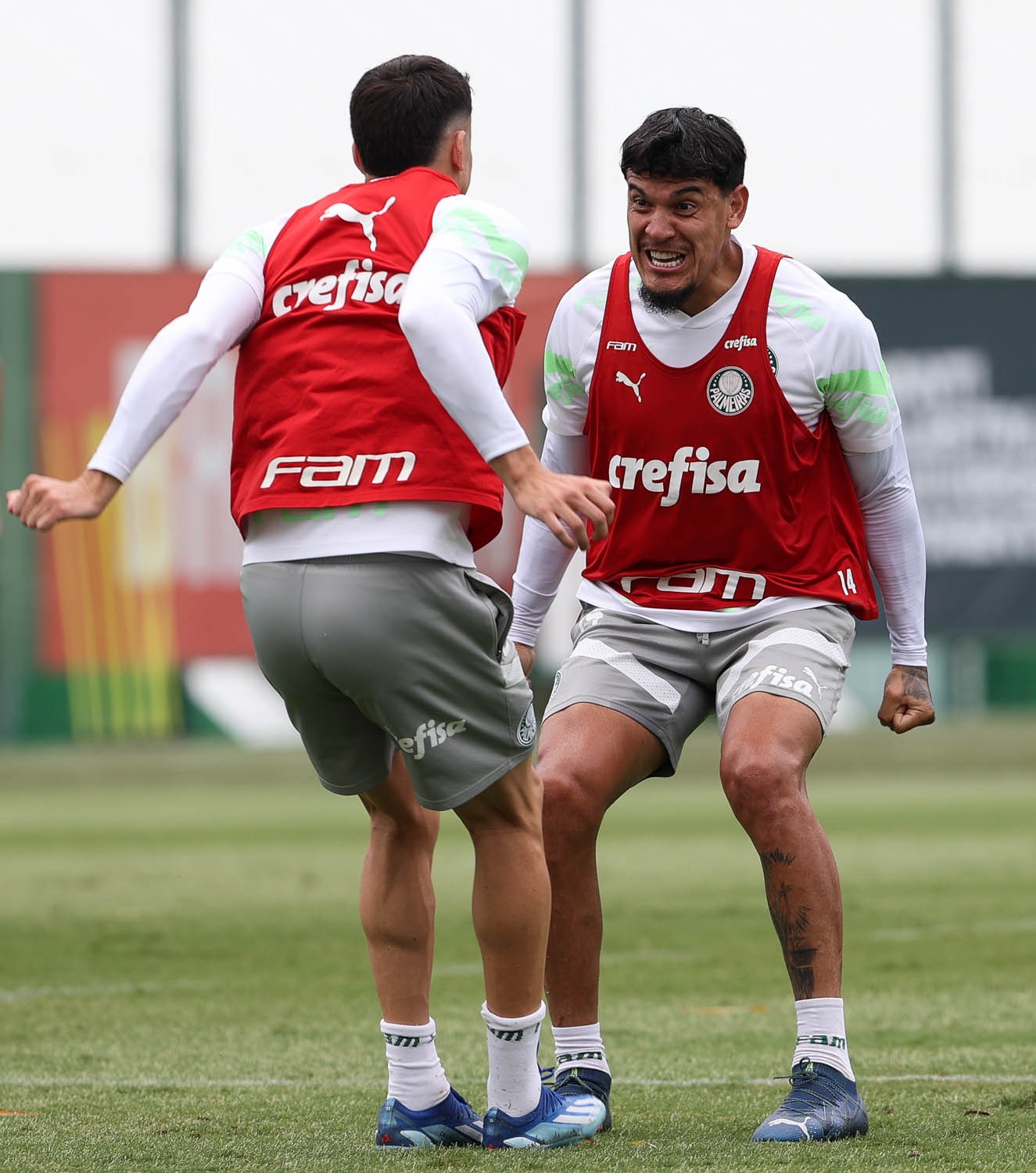 Zagueiro Gustavo Gomez sofre fratura no pé e vira desfalque no Verdão