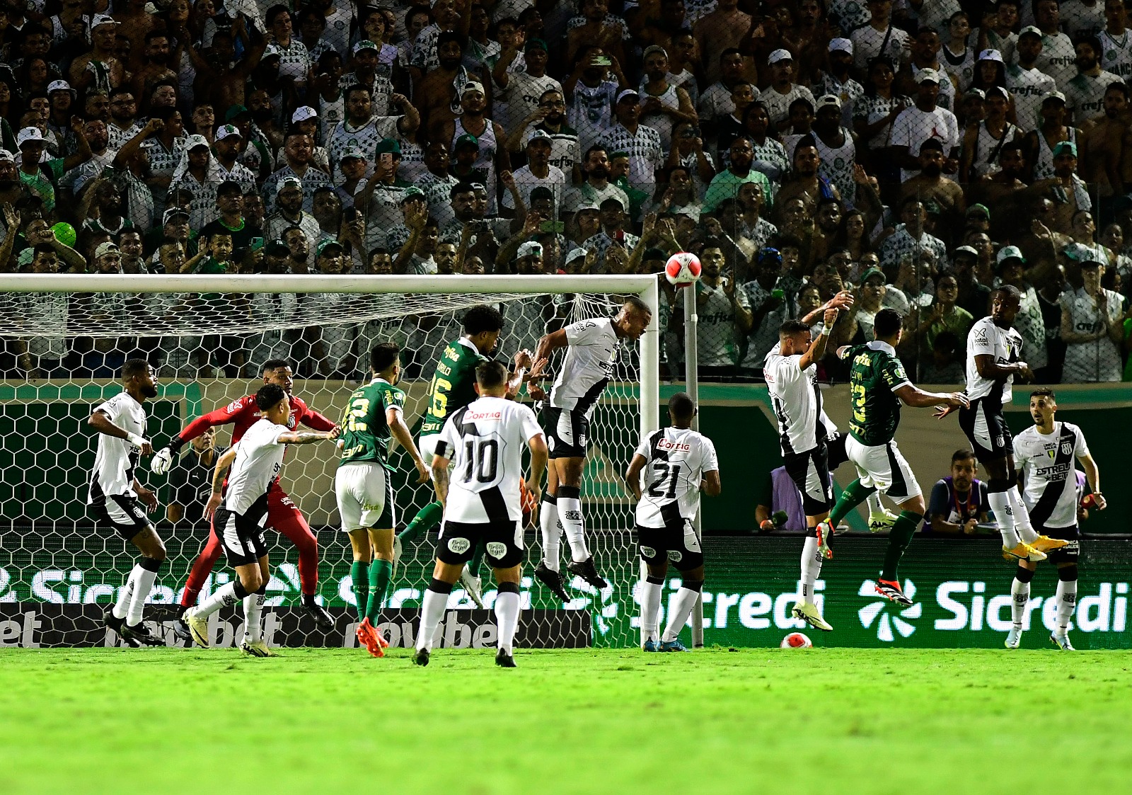 Frágil, Ponte Preta é goleada pelo Palmeiras e está fora do Paulistão