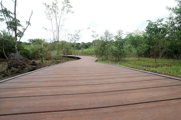 Mini Pantanal Sanã é inaugurado no Distrito de Barão Geraldo 
