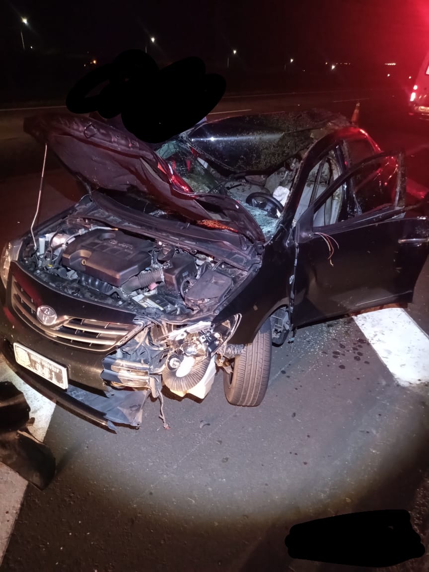 Dono de animal solto em rodovia é responsável em caso de acidente