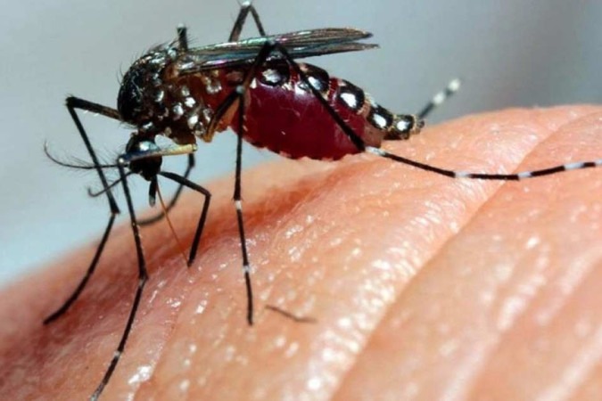Sumaré confirma duas novas mortes por dengue; uma das vítimas tinha 11 anos