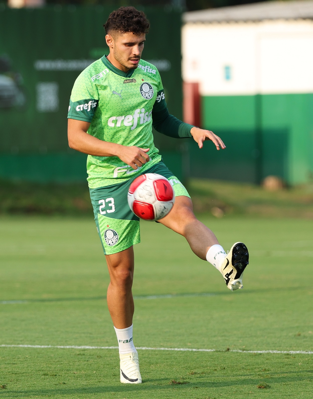 Com quase 100% do grupo, Abel Ferreira monta o Palmeiras para a final do Paulistão