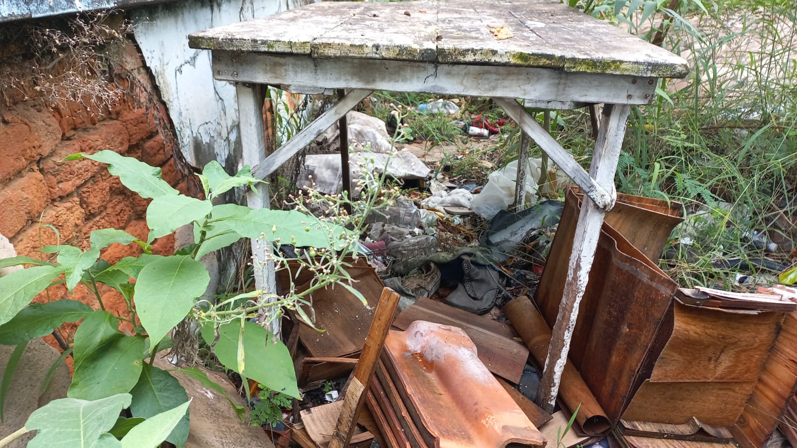 Prefeitura de Limeira limpa casa abandonada que tinha toneladas de entulho