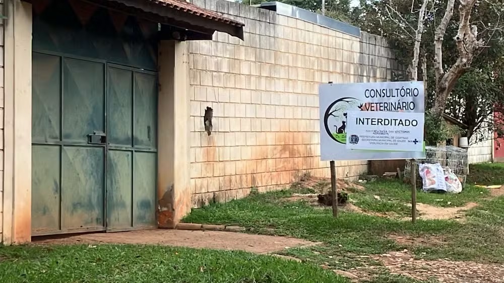 Homem que atuava em clínica veterinária interditada não tinha registro de médico veterinário