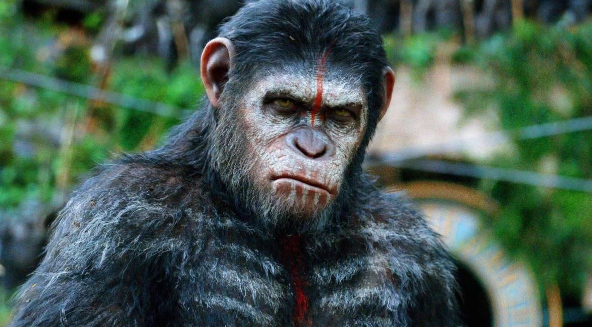 Planeta dos Macacos retorna aos cinemas e promete manter alto nível da franquia