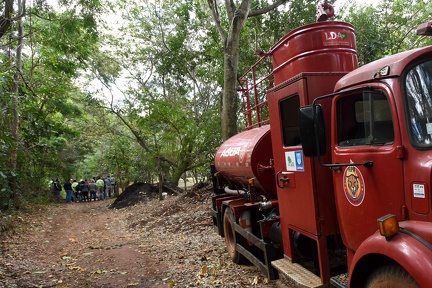 Trilhas da Mata Santa Genebra são fechadas por risco de queimadas