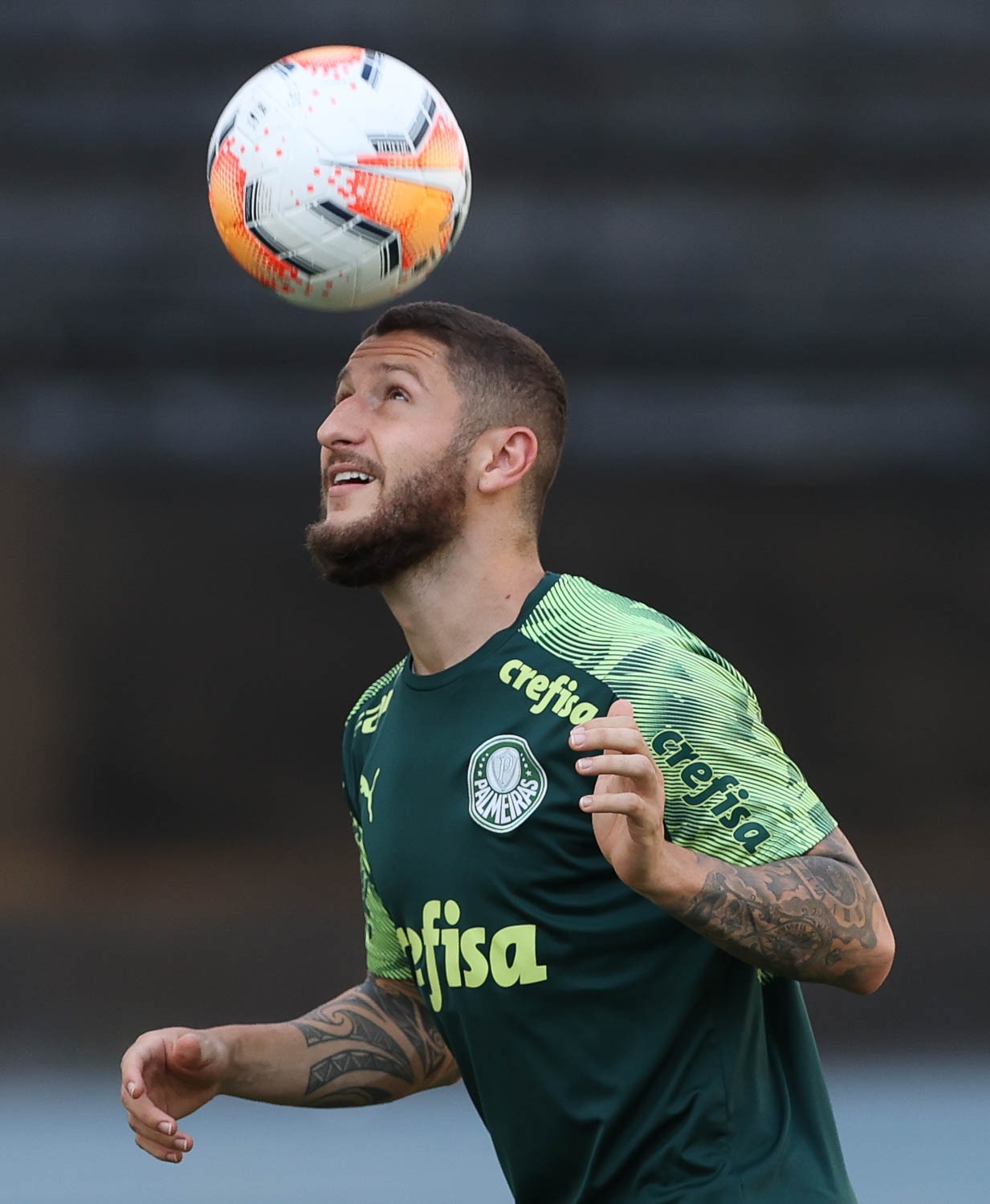 Palmeiras deve contar com Zé Rafael em duelo pela Copa do Brasil