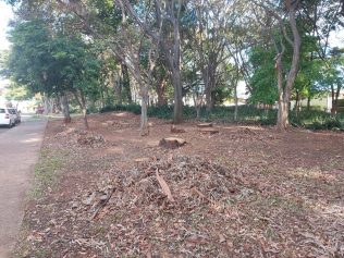 Moradores reclamam de falta de manutenção em praça no Jardim Flamboyant