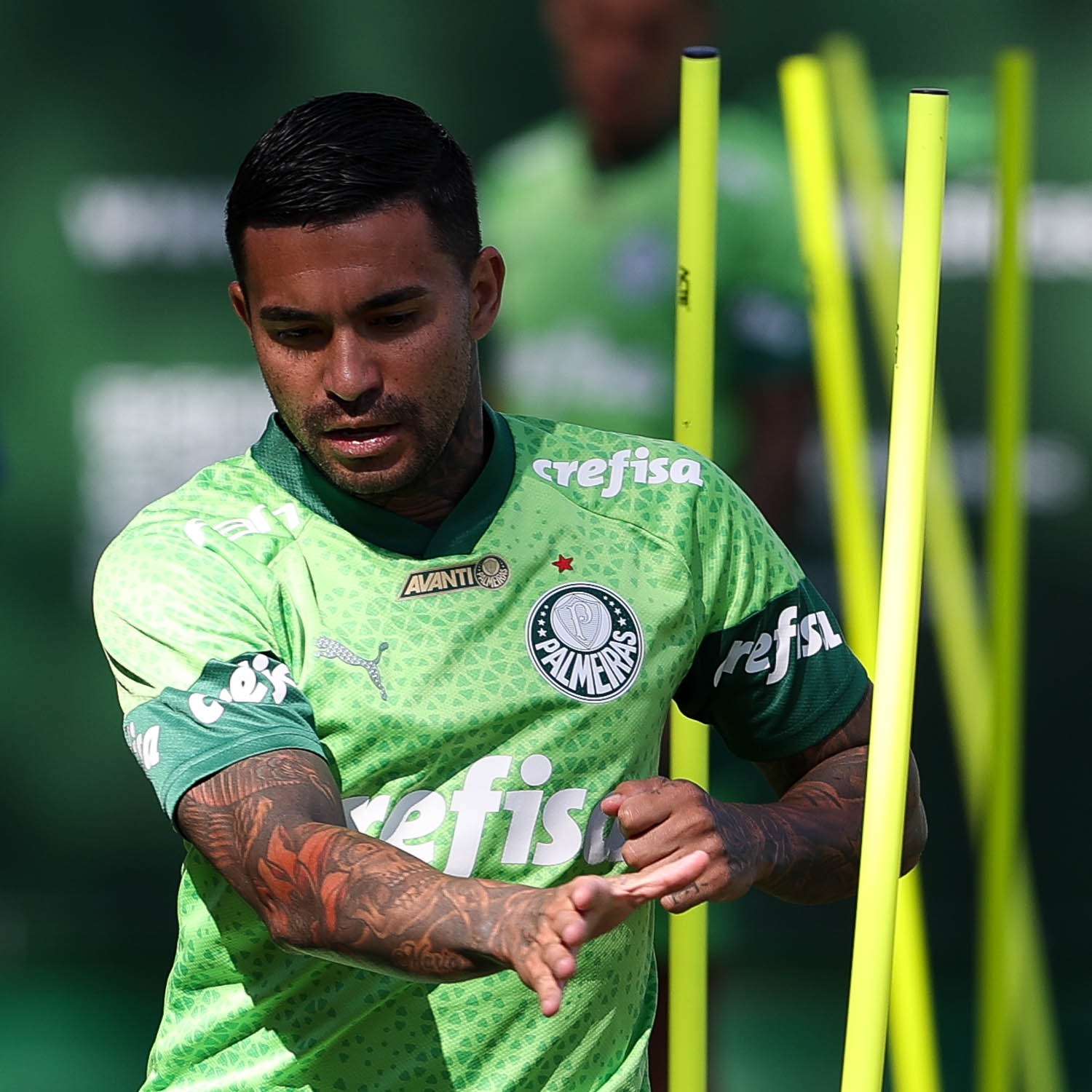 Palmeiras vive a expectativa do retorno de Dudu
