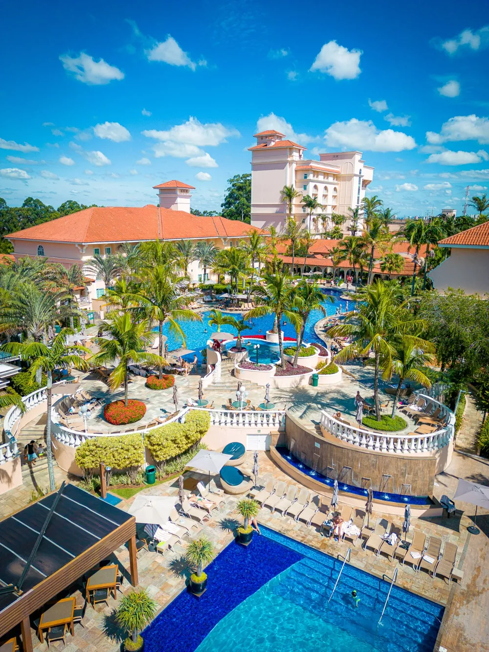Royal Palm está com 50 vagas abertas; entrevistas serão na quinta-feira