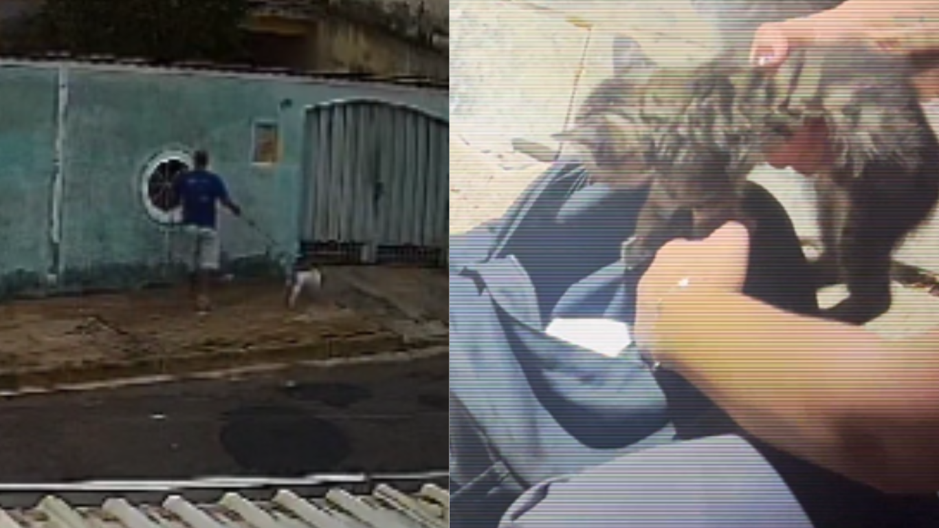 Em menos de 24 horas, dois casos de abandono de animais são registrados na região