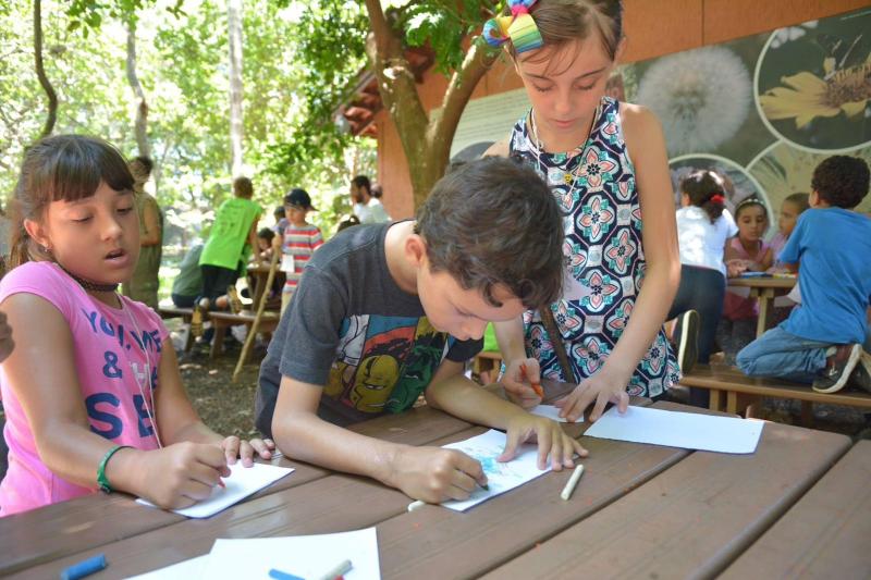 Inscrições para a Ecoférias estão abertas