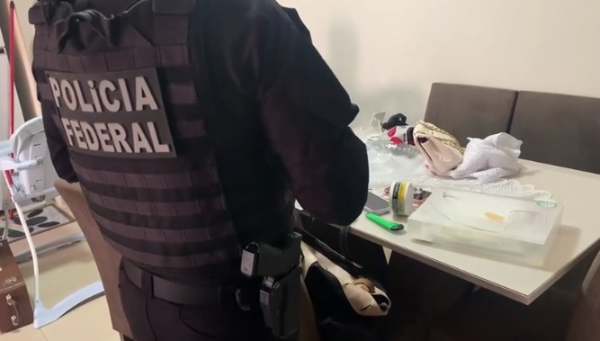 PF faz operação contra site que simulava ser do governo para roubar pessoas