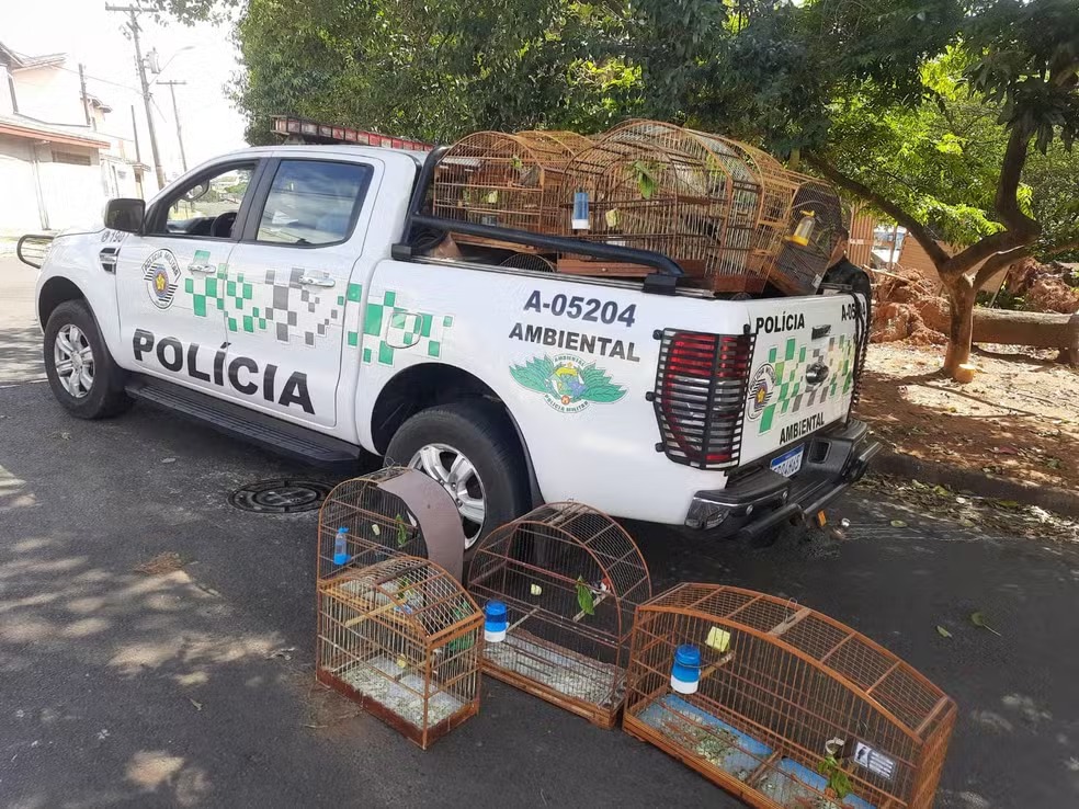 Homem que mantinha aves nativas em cativeiro é multado em R$ 15 mil 