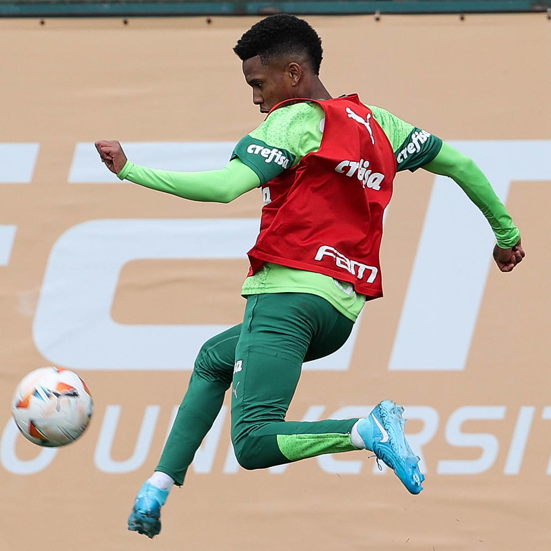 Palmeiras tem novidades para enfrentar o Botafogo nesta noite pela Libertadores