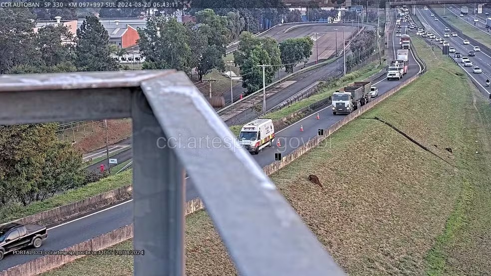 Pedestre morre atropelado em rodovia; motorista não prestou socorro 