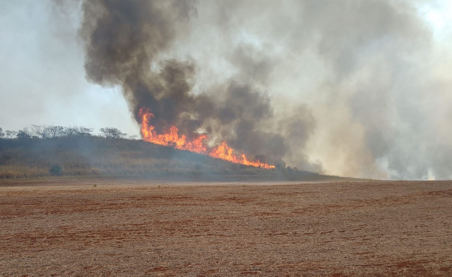 São Paulo decreta estado de emergência em 45 cidades por causa de incêndios florestais