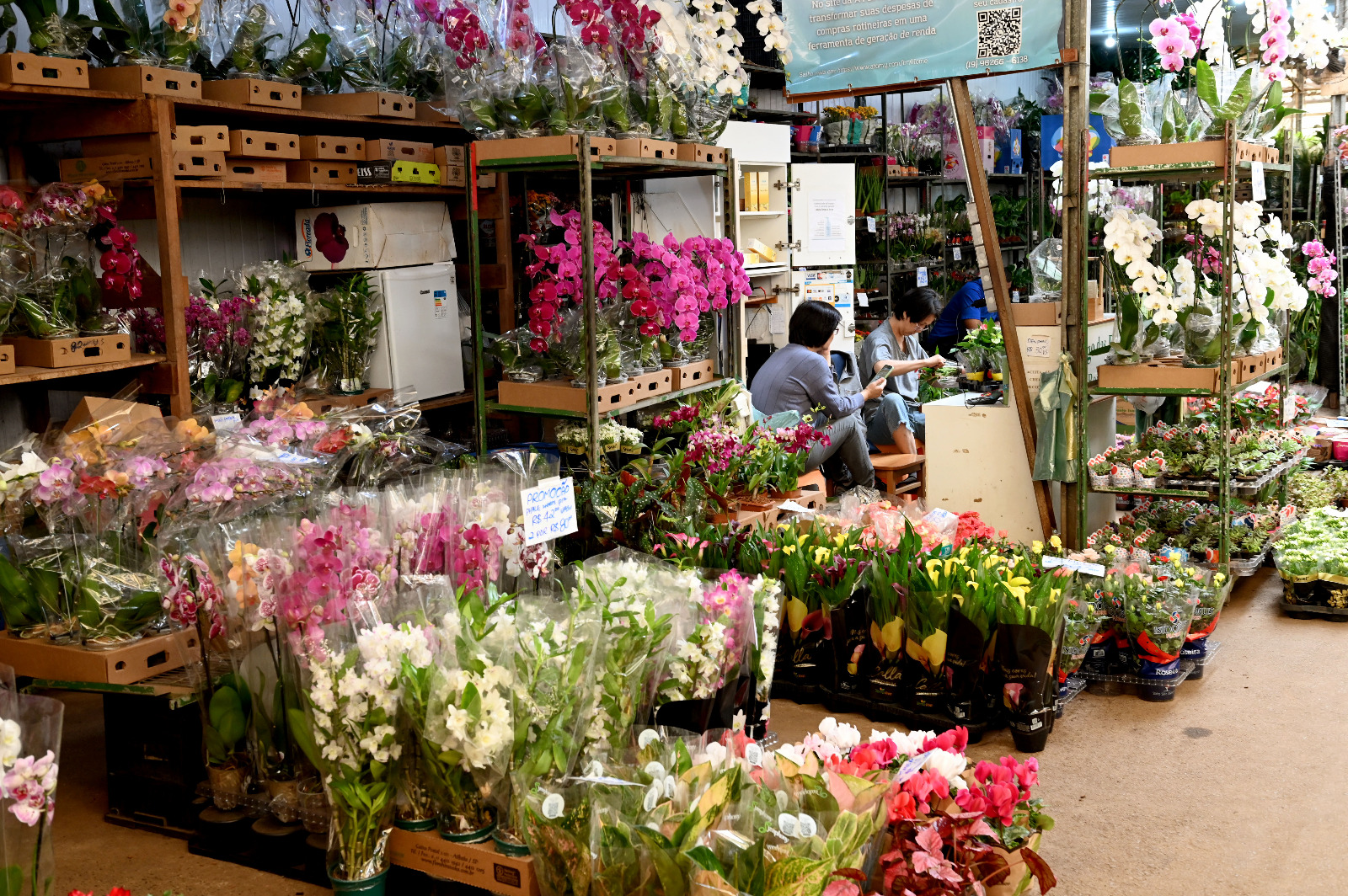 Ceasa de Campinas estima aumento de 30% na venda de flores no segundo semestre