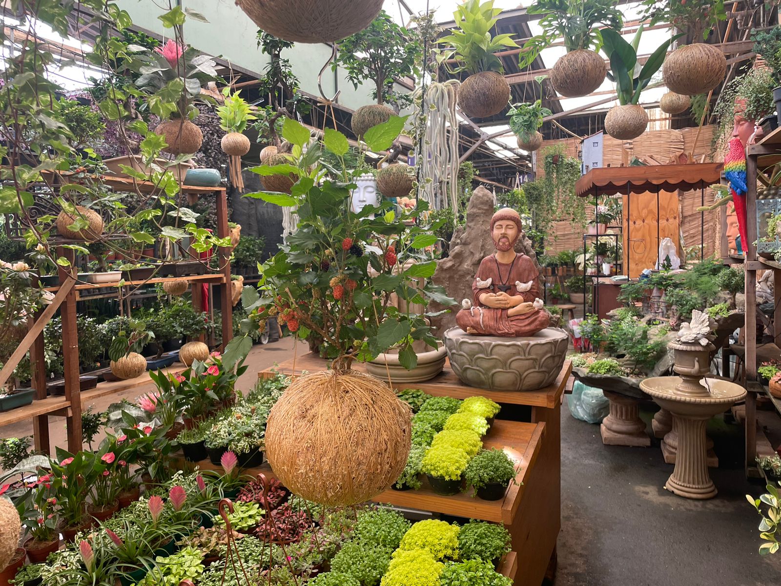 Ceasa de Campinas estima aumento de 30% na venda de flores no segundo semestre