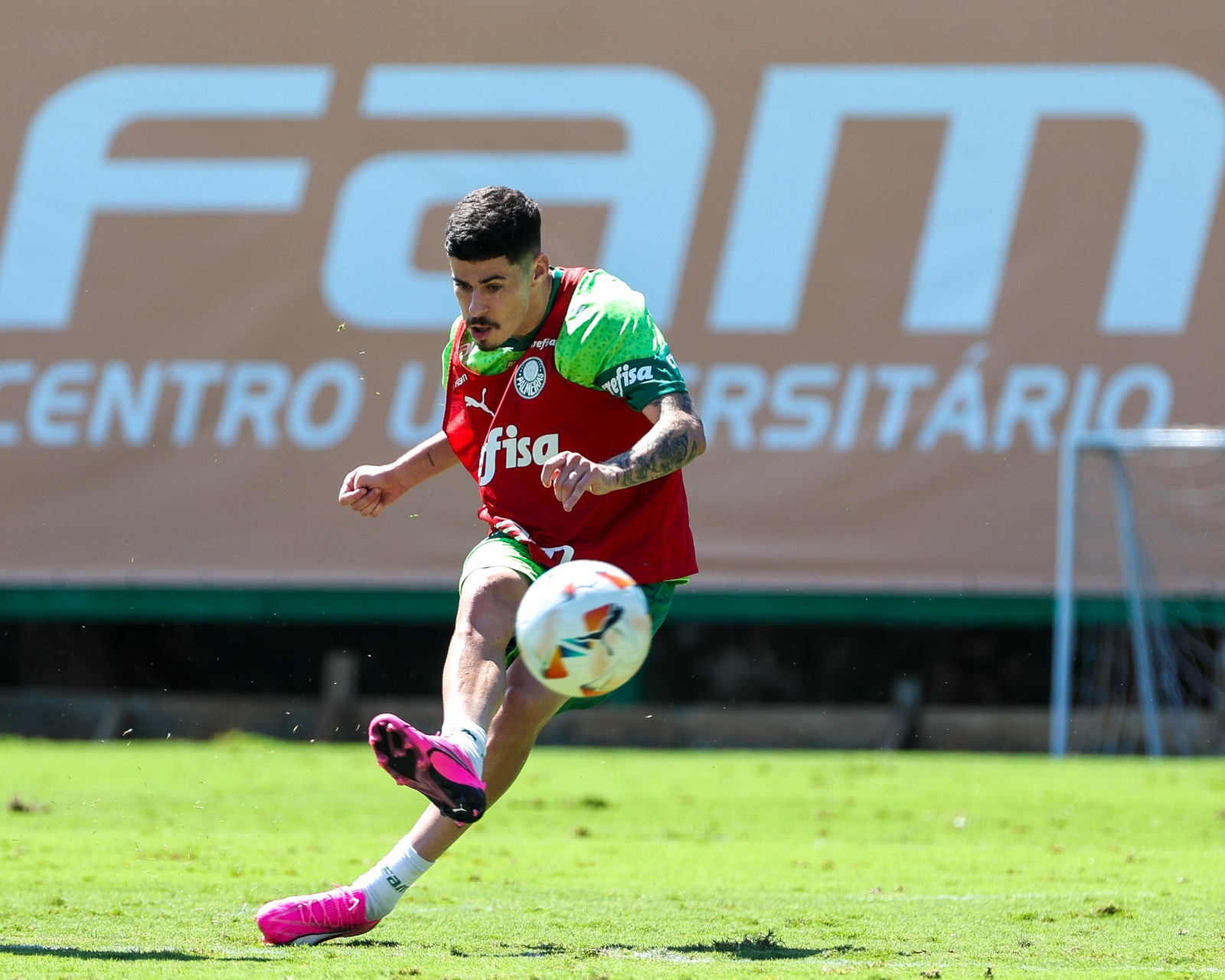 Com poucos jogos, Rômulo tenta se encaixar no Palmeiras