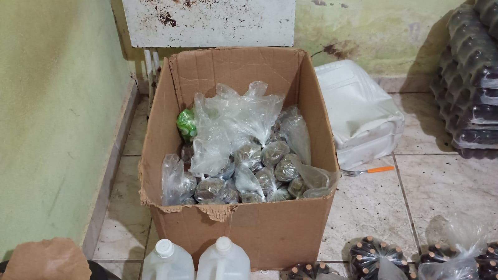 Guarda Municipal de Campinas apreende mais de 10 kg de drogas no Vida Nova