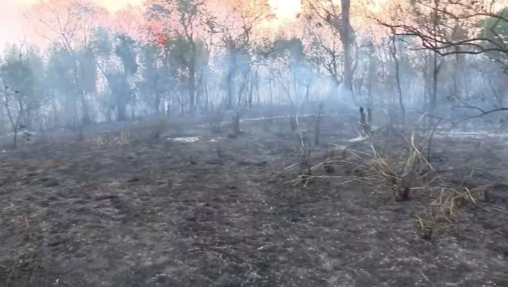 Região de Campinas tem três focos ativos de incêndio florestal