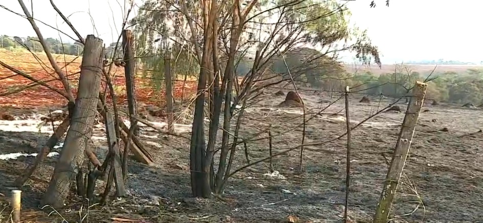 Incêndio em Barão Geraldo pode ter sido causado por um homem