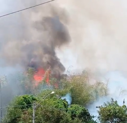 Incêndio em Espírito Santo do Pinhal ainda não está controlado