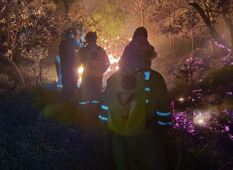 Incêndio na Serra dos Cocais em Valinhos é controlado