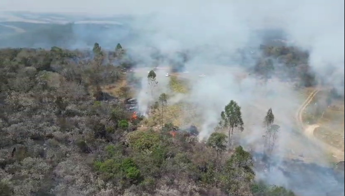 Mais de 120 hectares do Pico das Cabras foram destruídos após incêndio