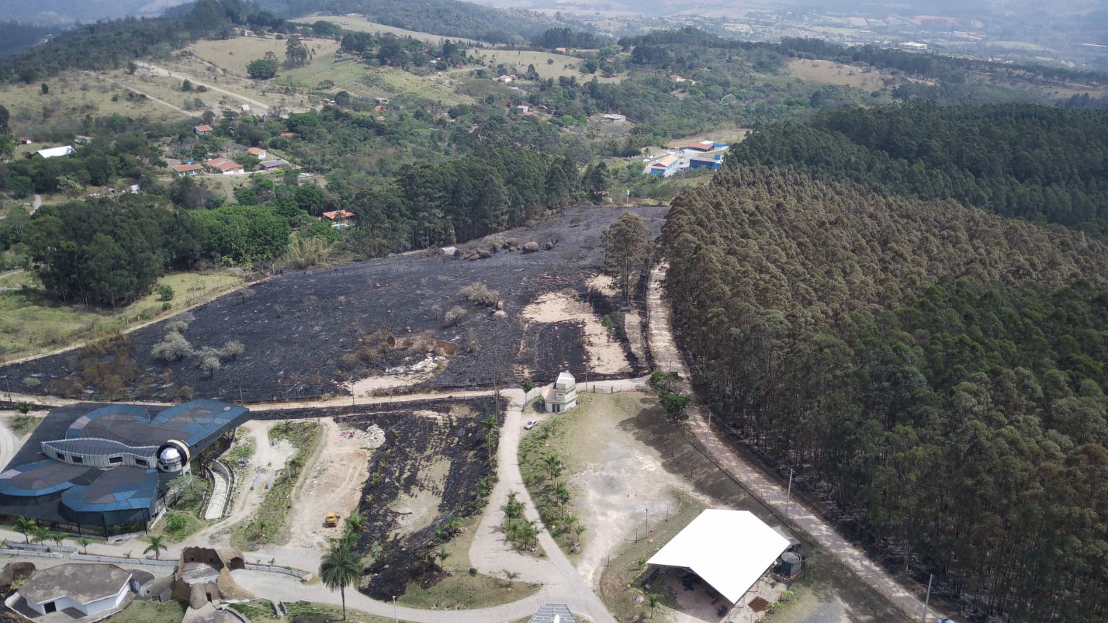 Compensação ambiental por incêndio no Pico das Cabras estima plantio de ao menos 100 mil árvores