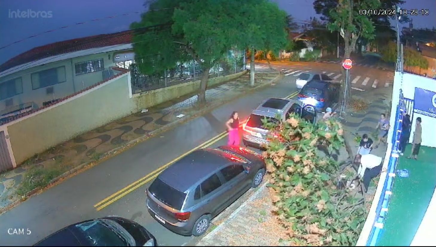 Galho de árvore cai e atinge aluna de 14 anos em frente escola de natação em Campinas