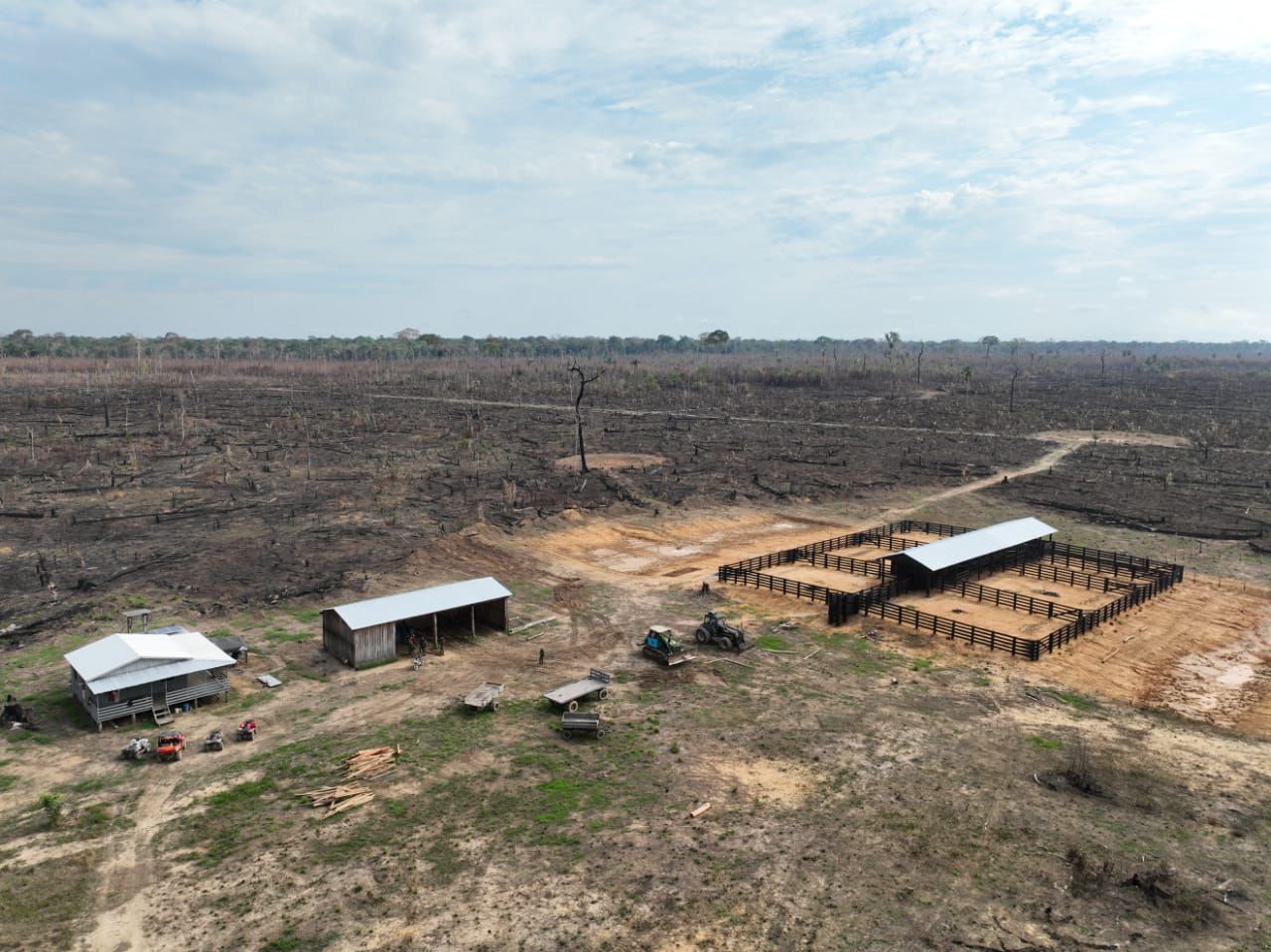 PF faz operação contra desmatamento na Amazônia e prende chefe do esquema em Campinas