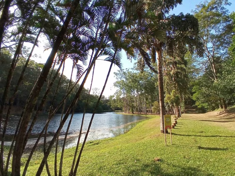 Horto Florestal de Tupi, em Piracicaba, é reaberto nesta segunda