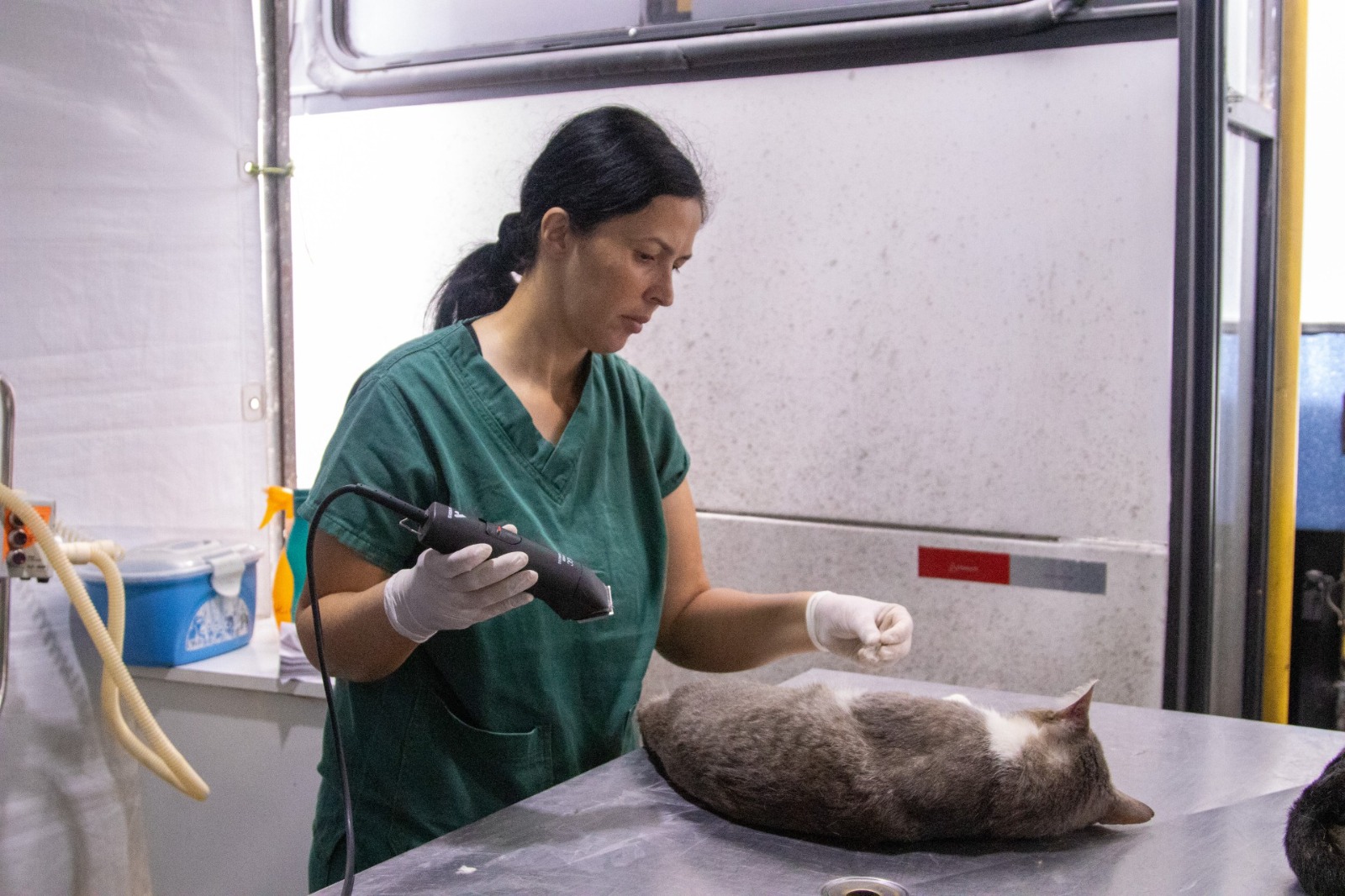 Hortolândia abre agendamento on-line para castração de cães e gatos