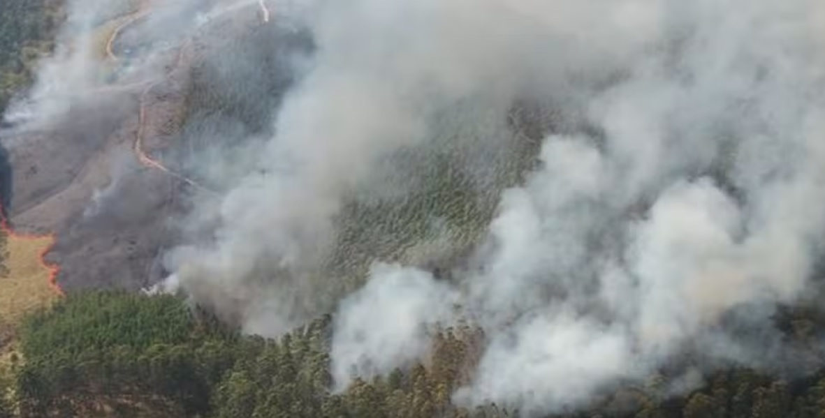 Incêndio consome área de mata nativa em Amparo há 5 dias