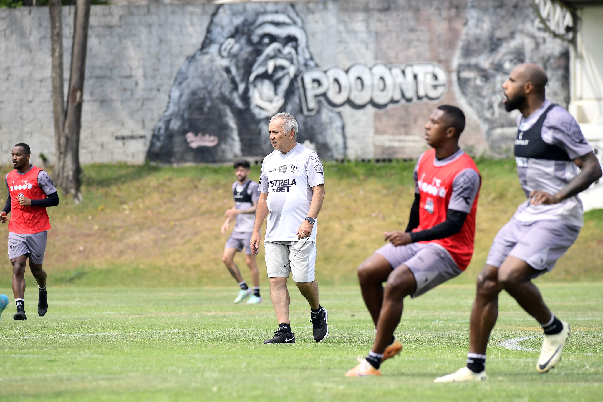 Ponte Preta começa a preparação para o dérbi 208