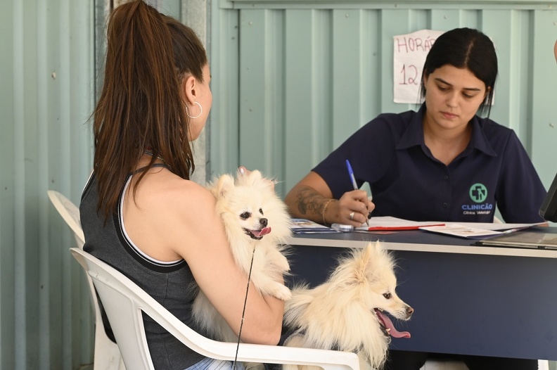 Consultório Veterinário Móvel atende na região do Padre Anchieta até 20 de dezembro