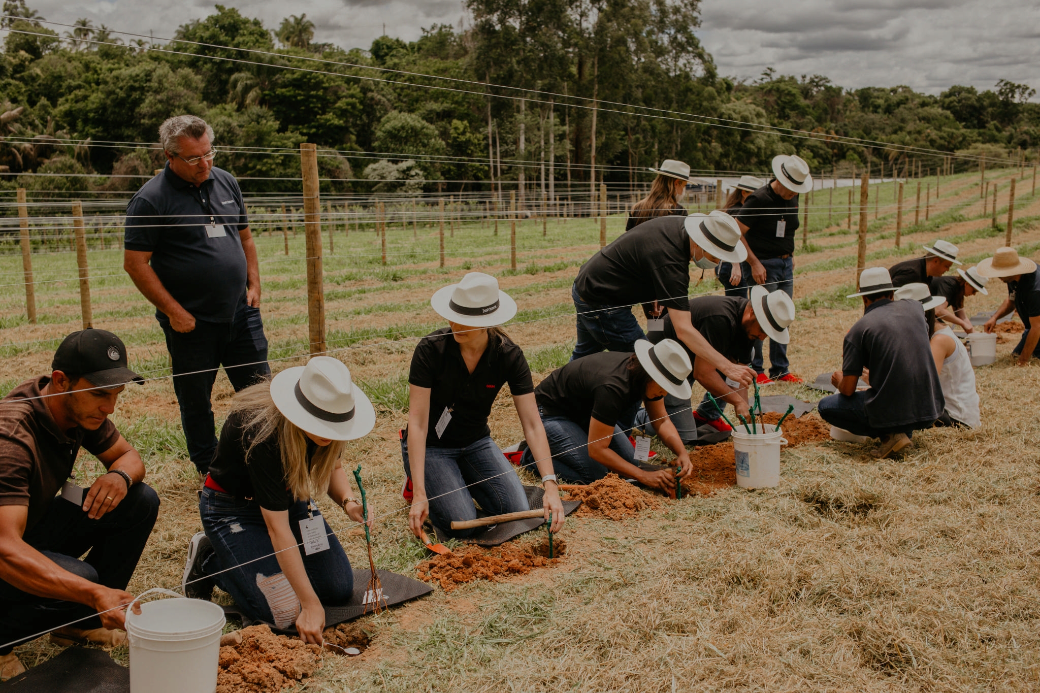 Espírito Santo do Pinhal é incluída em rota turística do vinho pelo Governo Estadual