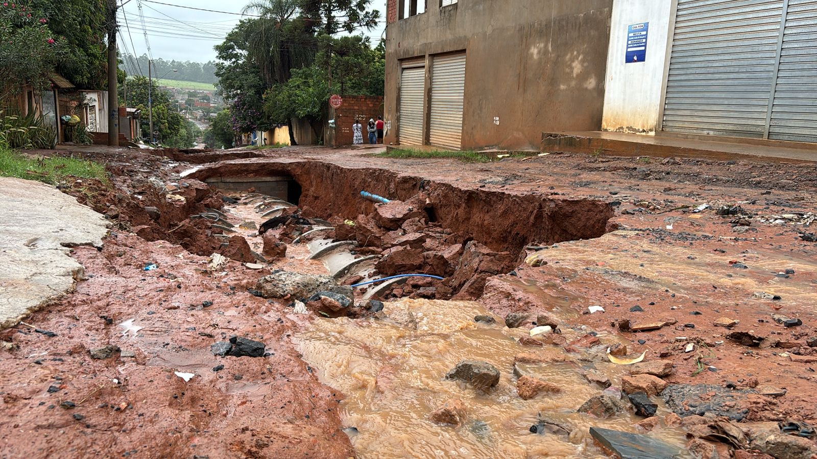 Chuvas intensas causam transtornos em Campinas e região; alagamentos, queda de árvores e desmoronamentos marcam a sexta-feira 
