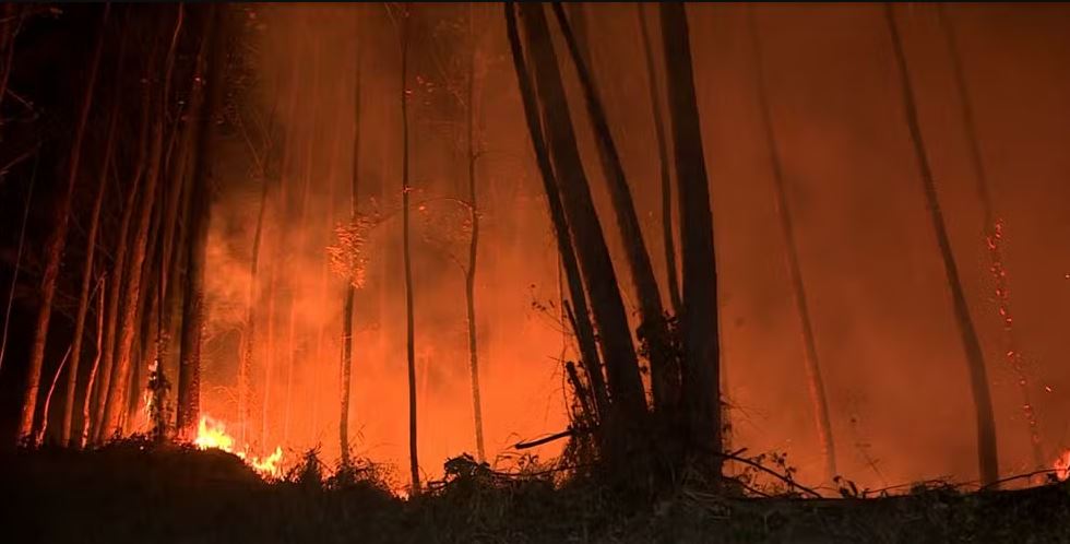 Retrospectiva 2024: Serra das Cabras foi devastada por incêndios criminosos