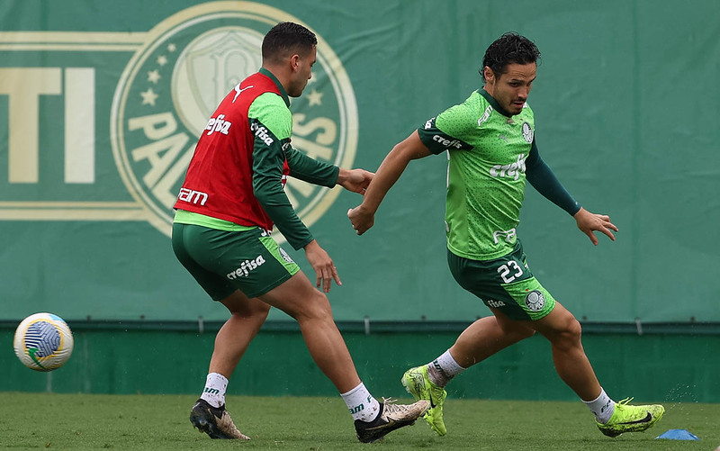 Esperançoso, Palmeiras encara Cruzeiro no Mineirão